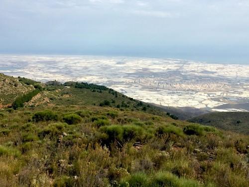​La Junta avala la propuesta de los regantes del Poniente para salvar en 10 años el acuífero sobreexplotado