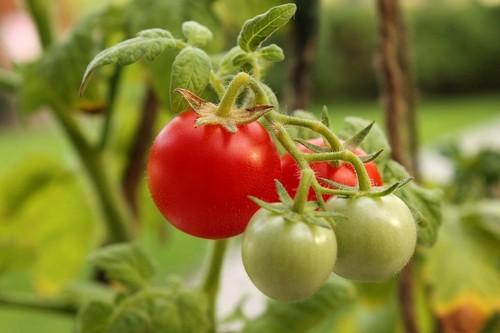 Heliosufre®, algo más que un azufre