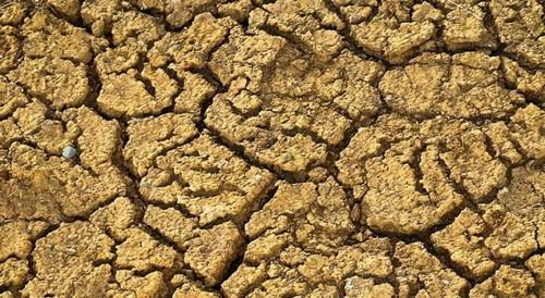 Clara Aguilera pide unos requisitos del pago verde más flexibles para agricultores afectados por la sequía