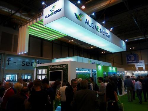 AlgaEnergy presenta en Fruit Attraction su propuesta de valor para una agricultura más sostenible