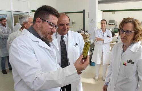El valor del aceite de oliva andaluz exportado de octubre a agosto crece casi un 25% y supera los 2.500 millones de euros
