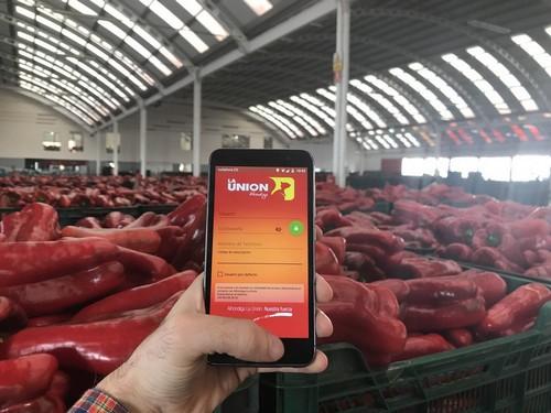 La Unión lanza una APP móvil para sus agricultores que les aporta datos en tiempo real de ventas y rentabilidad