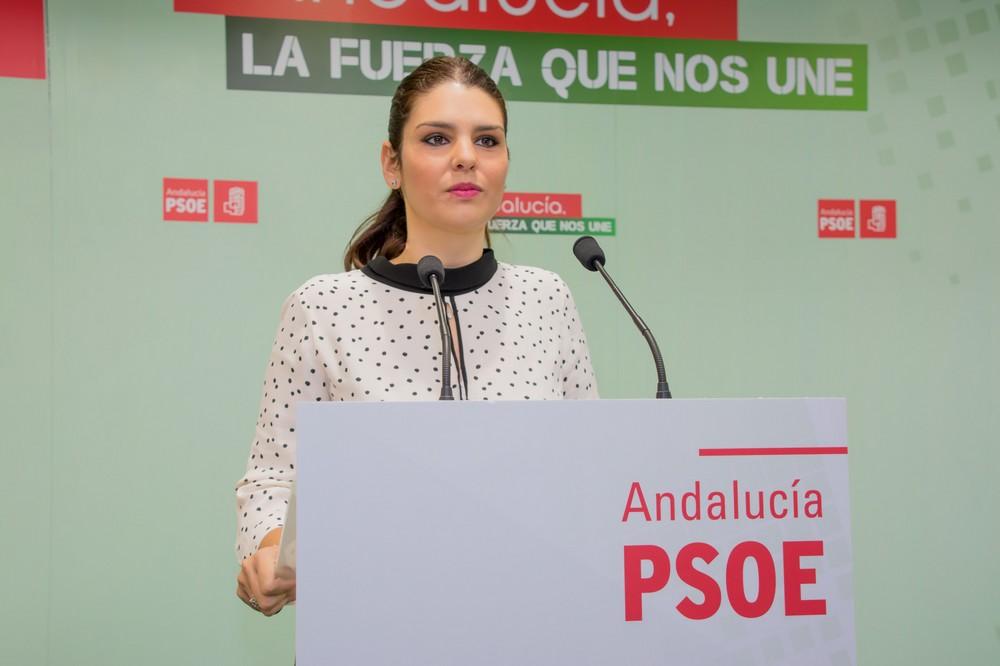 El PSOE considera que Crespo debería pedir “perdón” todos los días por el “castigo” del Gobierno de Rajoy a Almería