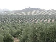 La Junta sanciona al titular de una finca de Tabernas por extraer agua subterránea sin autorización