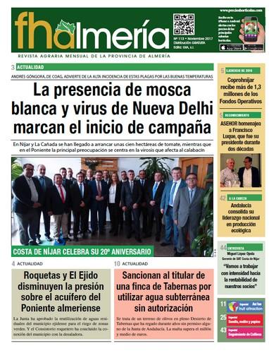 Nº 113 Noviembre 2017