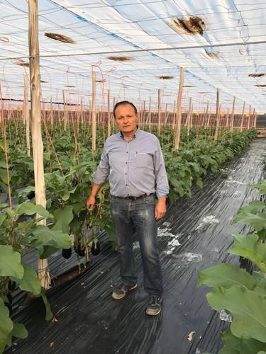 La productividad y calidad de Thelma RZ y Yolanda RZ  otorgan un premio al agricultor roquetero Miguel Rubio