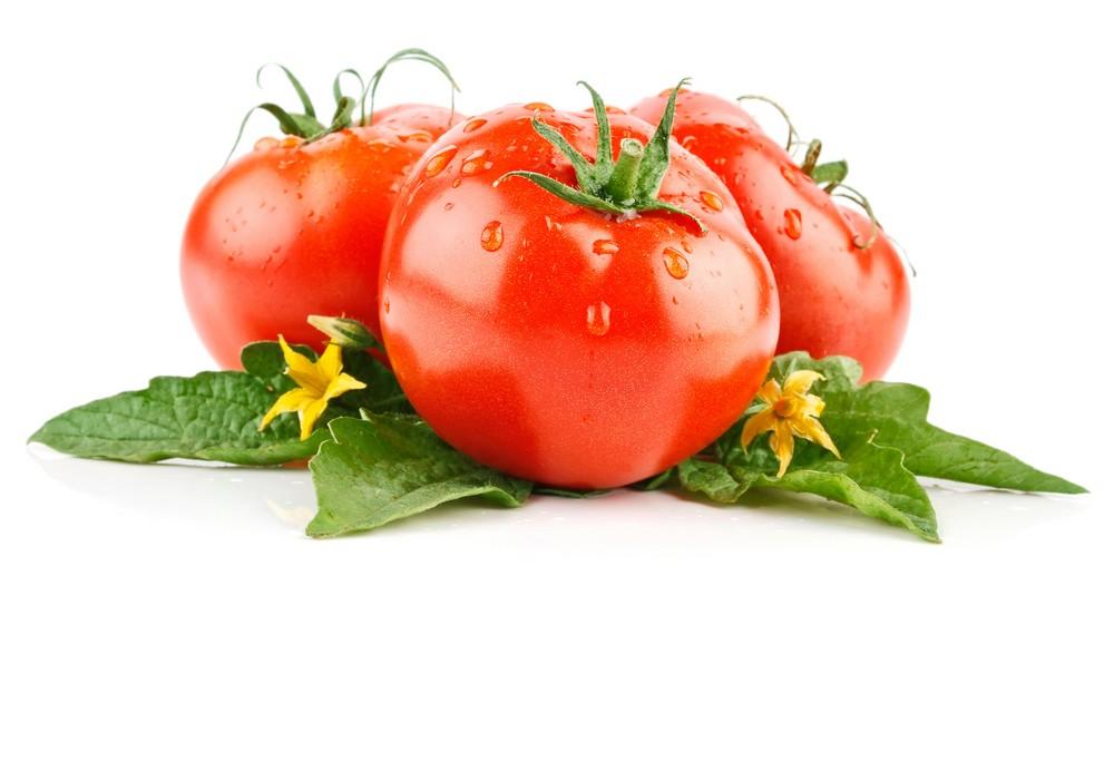 NeemAzal®-T/S de Agrichem, versatilidad y eficacia