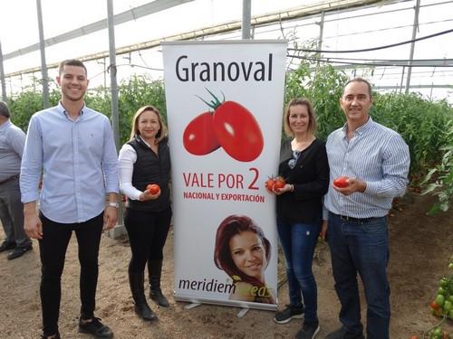 Meridiem Seeds muestra orgulloso su tomate pera gordo Granoval