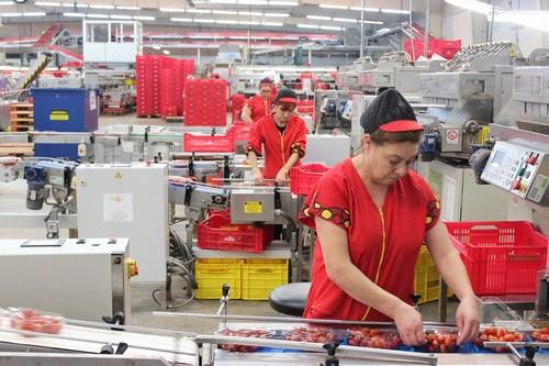 Agricultura publica en el BOJA el Decreto de Entidades Asociativas Prioritarias Agroalimentarias de Andalucía