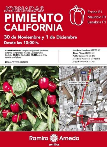Ramiro Arnedo presentará su amplia gama de pimientos California tempranos y medios en unas jornadas