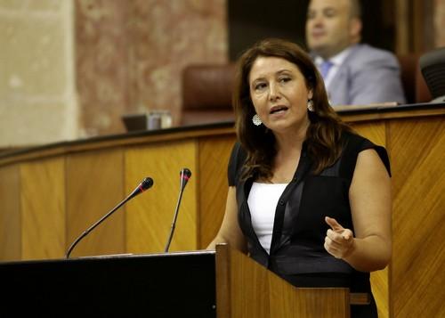 Crespo: “El único confundido con las competencias en materia de agua es el Consejero de Agricultura”