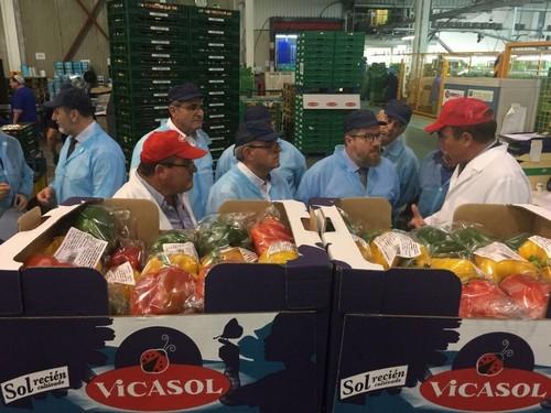 Agricultura define a Vicasol como una “prueba viva” del “gran acierto” de la concentración de productores