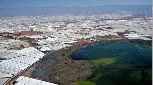  La Junta inicia la licitación de la revisión del Plan de  Ordenación del Territorio del Poniente Almeriense
