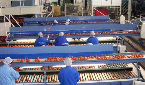 Andalucía pide una normativa europea contra las prácticas comerciales desleales y un organismo que vele por su aplicación