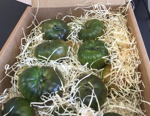 El tomate Adora y Ulti-Mite Swirski, nominados a los Premios a la Innovación en Fruit Logistica 2018