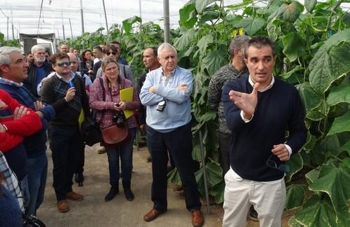 Semillas Fitó presenta SmartQ, una línea para pepino con más calidad de fruto y una planta más resistente