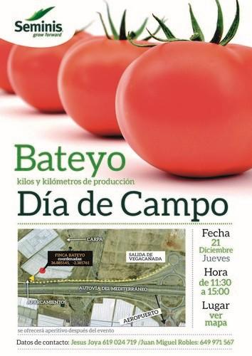 Seminis organiza este jueves un día de campo del tomate Bateyo en La Cañada