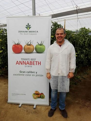 Zeraim Ibérica lanza Annabeth, el tomate beef  con un excelente nivel de resistencias