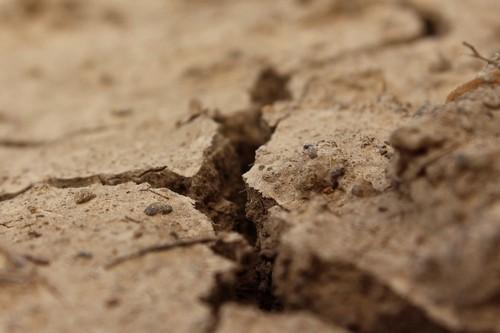  ASAJA advierte de que el cambio climático supone una seria amenaza para la producción agrícola almeriense