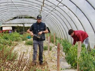 COAG Andalucía pide a la Consejería agilizar los pagos del relevo generacional