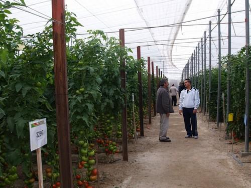 Hazera ofrecerá “condiciones especiales” a los afectados por el tornado