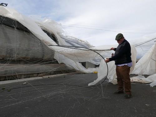 ASAJA intensifica el trabajo de cuantificación y visita las explotaciones afectadas por el tornado