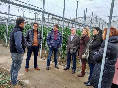 El PSOE de Adra registra una moción para que el Ayuntamiento apruebe ayudas a los agricultores afectados por el temporal