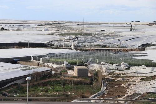 La Junta de Andalucía anuncia un Plan Renove para Invernaderos dotado de 100 millones de euros hasta 2022