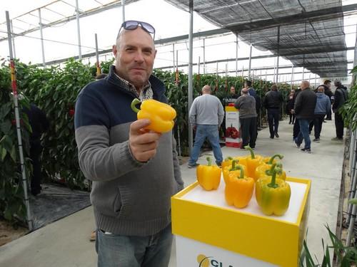HM Clause congrega a más de medio millar de productores en sus jornadas de pimiento