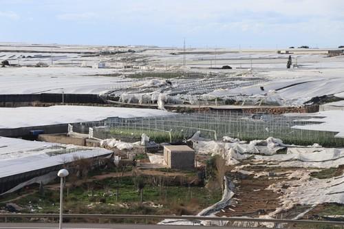 COAG valora las  ayudas de la Junta para los afectados por los tornados en el Poniente almeriense