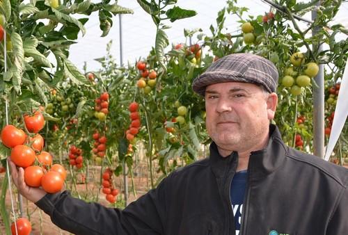 Níjar acoge unas jornadas de campo de Sotomayor, el tomate de Hazera