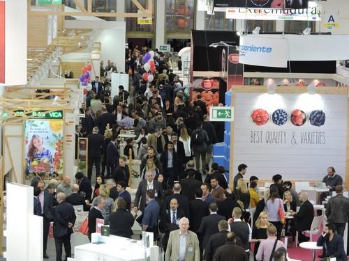 Almería incrementa su presencia en Berlín un año más y roza la treintena de empresas