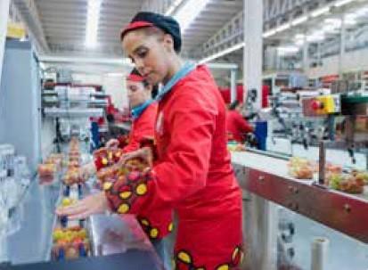“Celebramos nuestro 45 aniversario ofreciendo al consumidor el mejor producto y en las mejores condiciones”