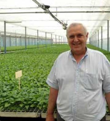 Semilleros Laimund, un referente de calidad y servicio al agricultor