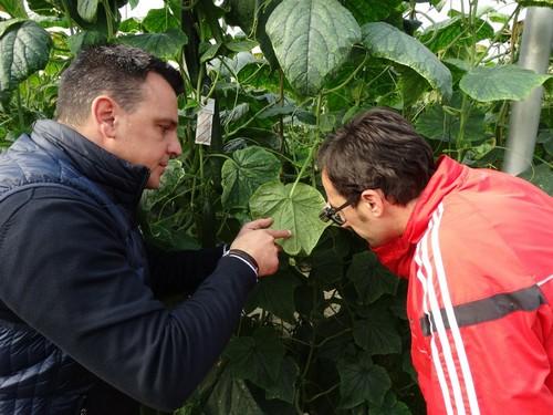 Montyline ofrece un control de trips robusto y fiable durante toda la campaña