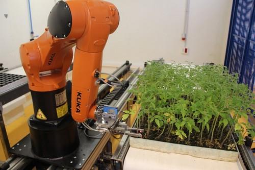 El CT TECNOVA presenta el primer robot para realizar injertos de hortícolas