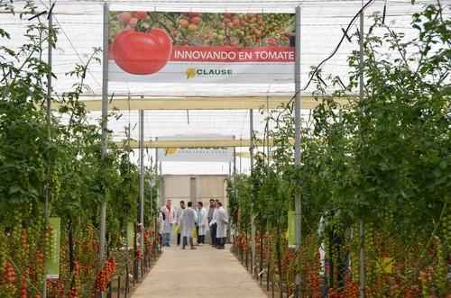 La nueva finca vitrina de HM Clause se estrena con alta afluencia de productores de tomate