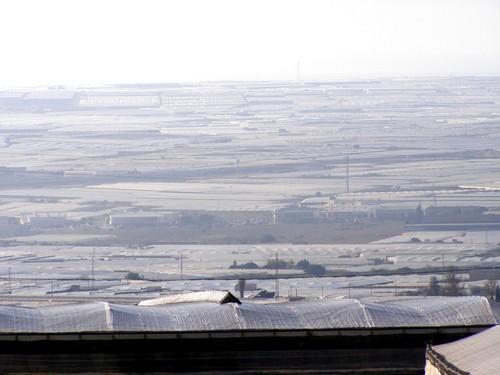 Almería y Sevilla, líderes en exportaciones agroalimentarias en Andalucía