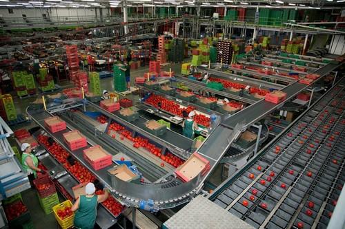 Agricultura abre la nueva convocatoria de ayudas a las agroindustrias con una dotación de 68,6 millones