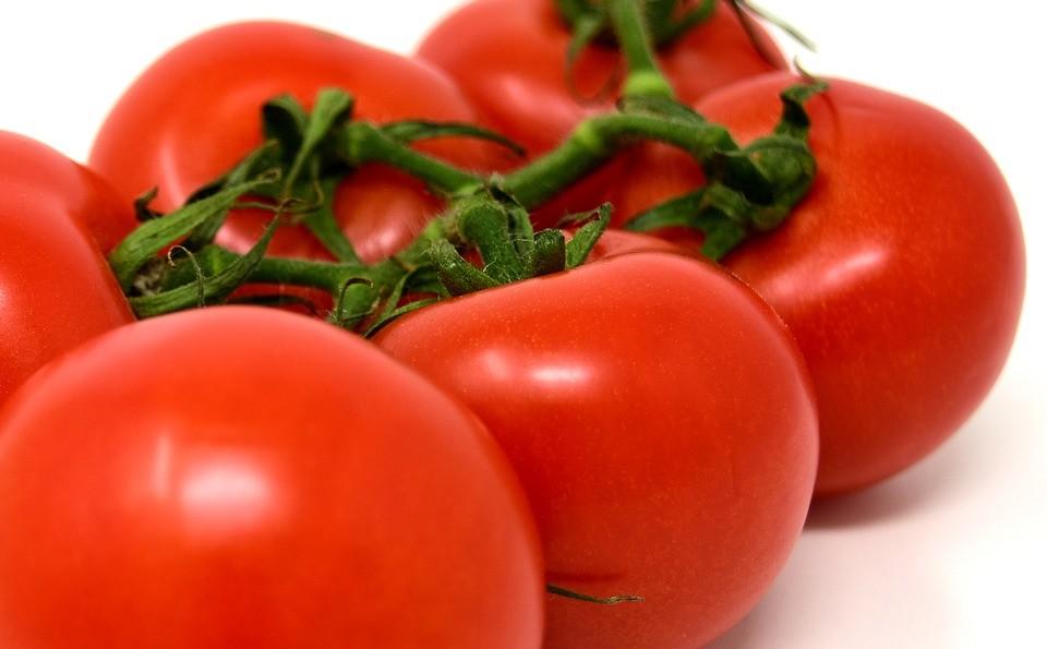 Syngenta organiza una conferencia internacional en Almería para analizar las nuevas tendencias en el mercado del tomate fresco