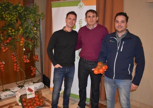 Hazera refuerza su portfolio de tomate con Sotogrande, un tomate en rama que  destaca por su alta productividad y larga vida post-cosecha