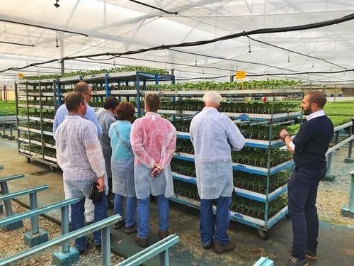 Grupo Cristalplant recibe en sus instalaciones a profesionales semilleristas internacionales