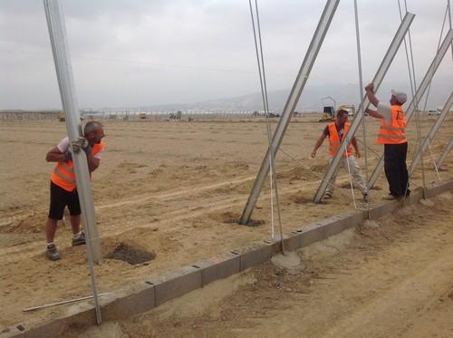 Agricultura amplía al 21 de marzo el plazo para solicitar ayudas a la modernización de invernaderos