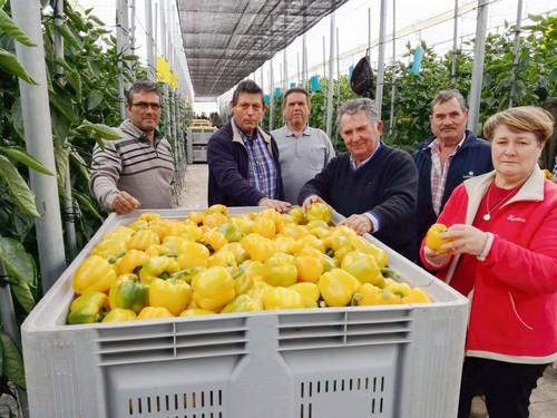 Meridiem Seeds sortea un viaje al Mundial de Fútbol de Rusia para disfrutar del partido España-Portugal entre los agricultores que compren Alvarado