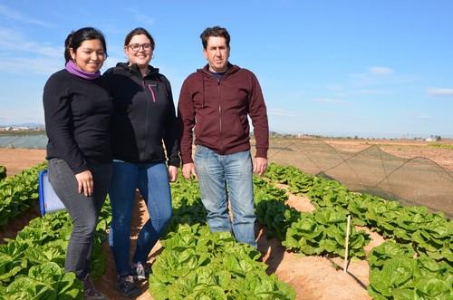 Ramiro Arnedo cubre los doce meses de cultivo con sus romanas y Little Gem
