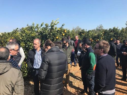 EuroChem Agro organiza con éxito una jornada técnica de fertilización de cítricos en Benicarló
