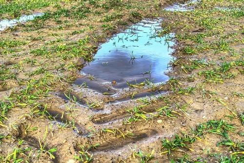 'Compartir el agua', lema del 8º Foro Mundial del Agua donde la Región de Murcia expondrá su gestión de la escasez hídrica