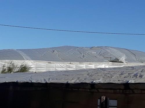 El viento daña cubiertas de explotaciones agrícolas en la provincia de Almería