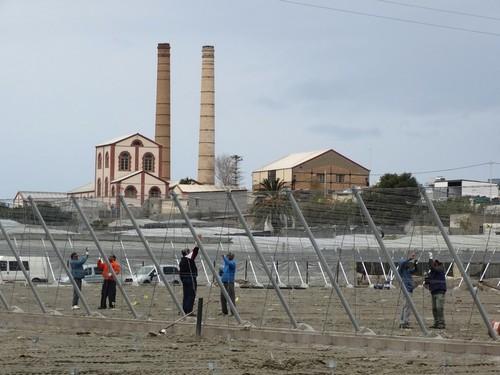 Invernaderos Gaitán, la garantía de más  de 40 años construyendo fincas invernadas