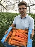 Top Seeds apuesta por nuevas líneas y variedades que satisfacen a agricultor, comercialización y consumidor